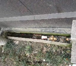 社區(qū)病媒生(shēng)物(wù)防制要(yào)點(diǎn)